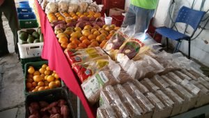 Mais de 60 tipos de produtos foi disponibilizado na Feira da Agricultura Camponesa. Foto: MPA