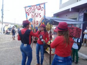Brigada de Juventude no Piauí. Foto: Brigada de Juventude 
